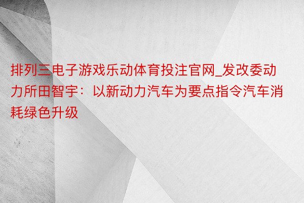 排列三电子游戏乐动体育投注官网_发改委动力所田智宇：以新动力汽车为要点指令汽车消耗绿色升级