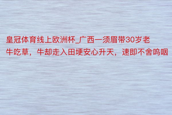 皇冠体育线上欧洲杯_广西一须眉带30岁老牛吃草，牛却走入田埂安心升天，速即不舍呜咽