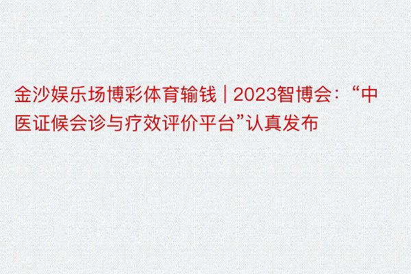 金沙娱乐场博彩体育输钱 | 2023智博会：“中医证候会诊与疗效评价平台”认真发布