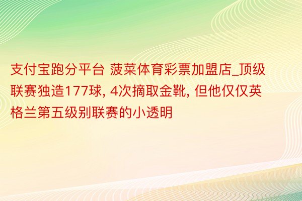 支付宝跑分平台 菠菜体育彩票加盟店_顶级联赛独造177球, 4次摘取金靴, 但他仅仅英格兰第五级别联赛的小透明